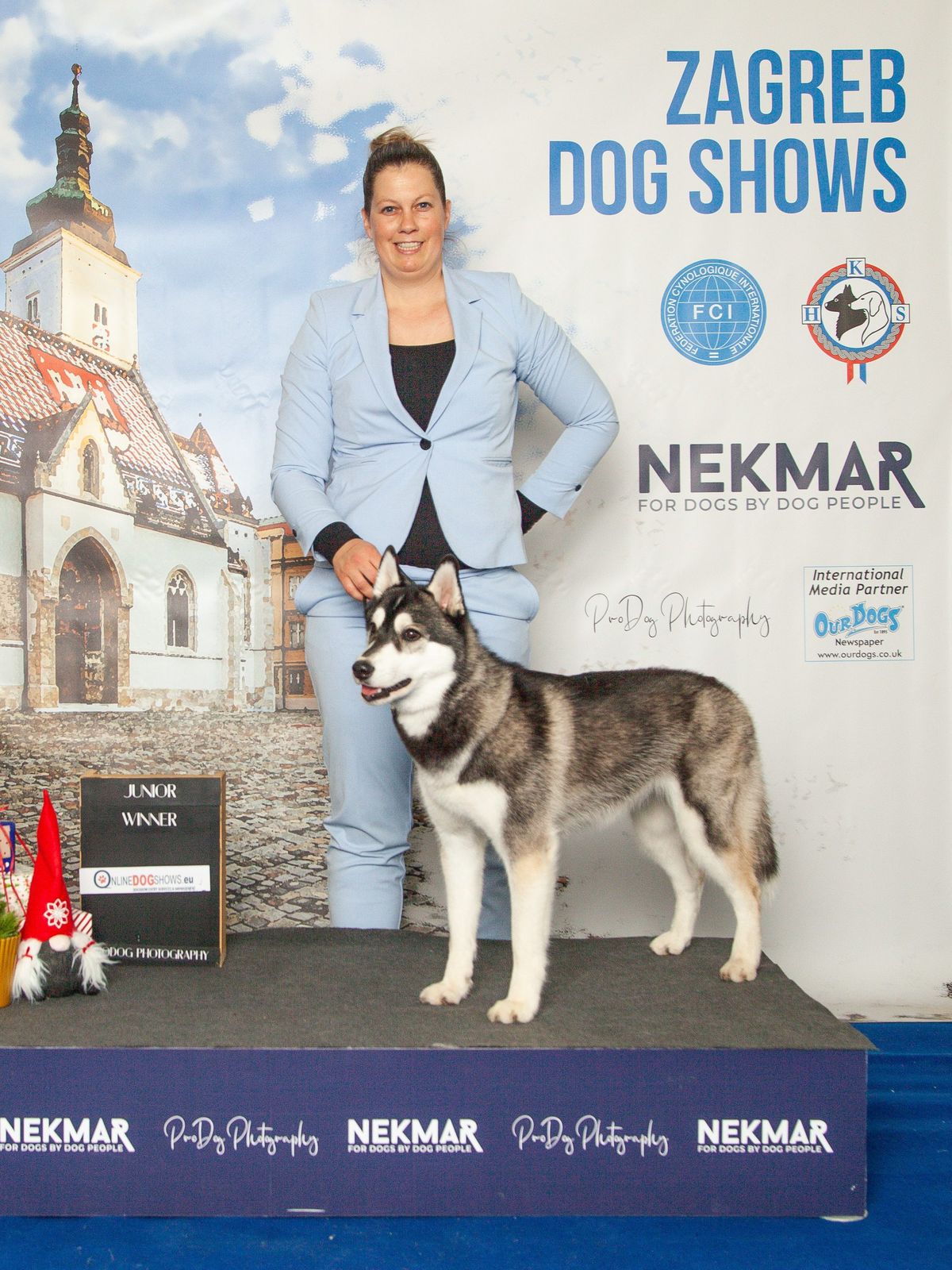 Siberian Husky as Junior Winner on the winners podium at an FCI dog show