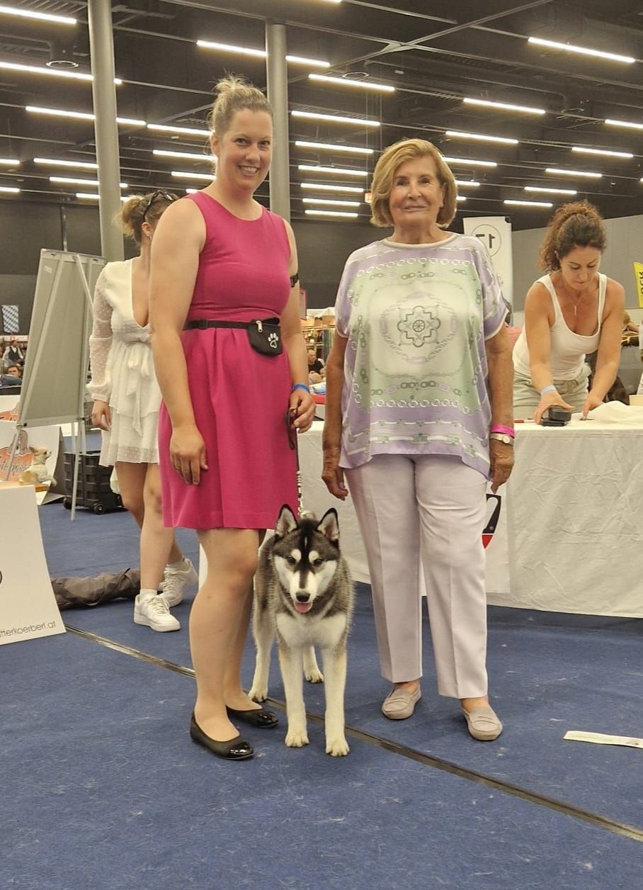 Siberian Husky at the prize-giving with its handler and the judge